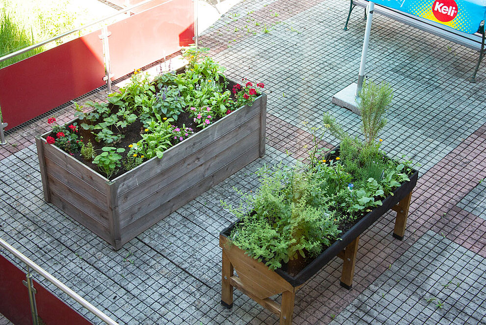 GSG_Garten_01